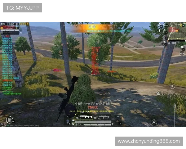 云顶炸金花官方版多样化的游戏模式，满足不同玩家的需求